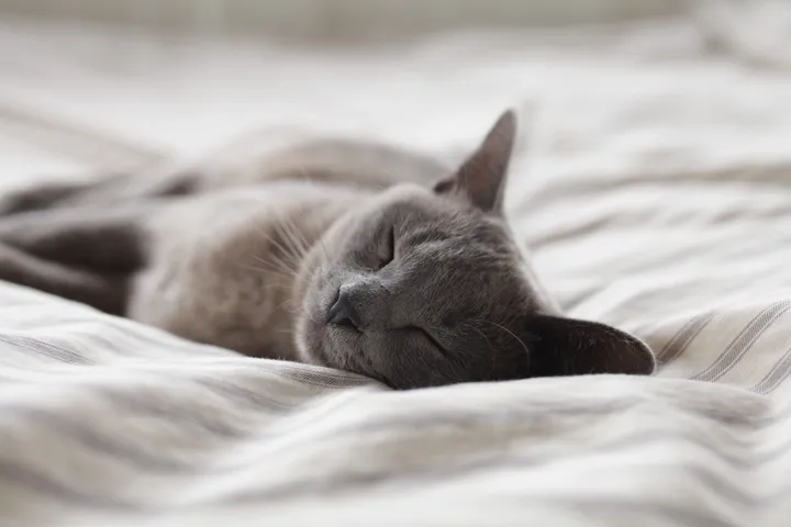 文章《别说不可能,Node.js 中实现 sleep》的题图