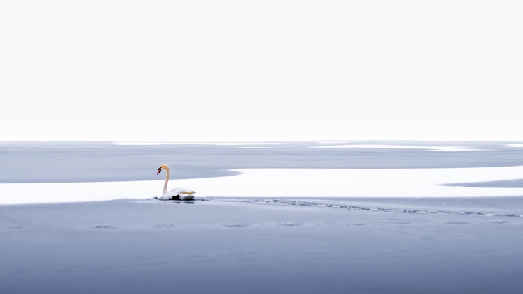 文章《学写 jquery 缓动函数》的题图